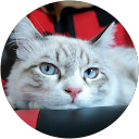 ศิริชัย อินทรไทย profile picture